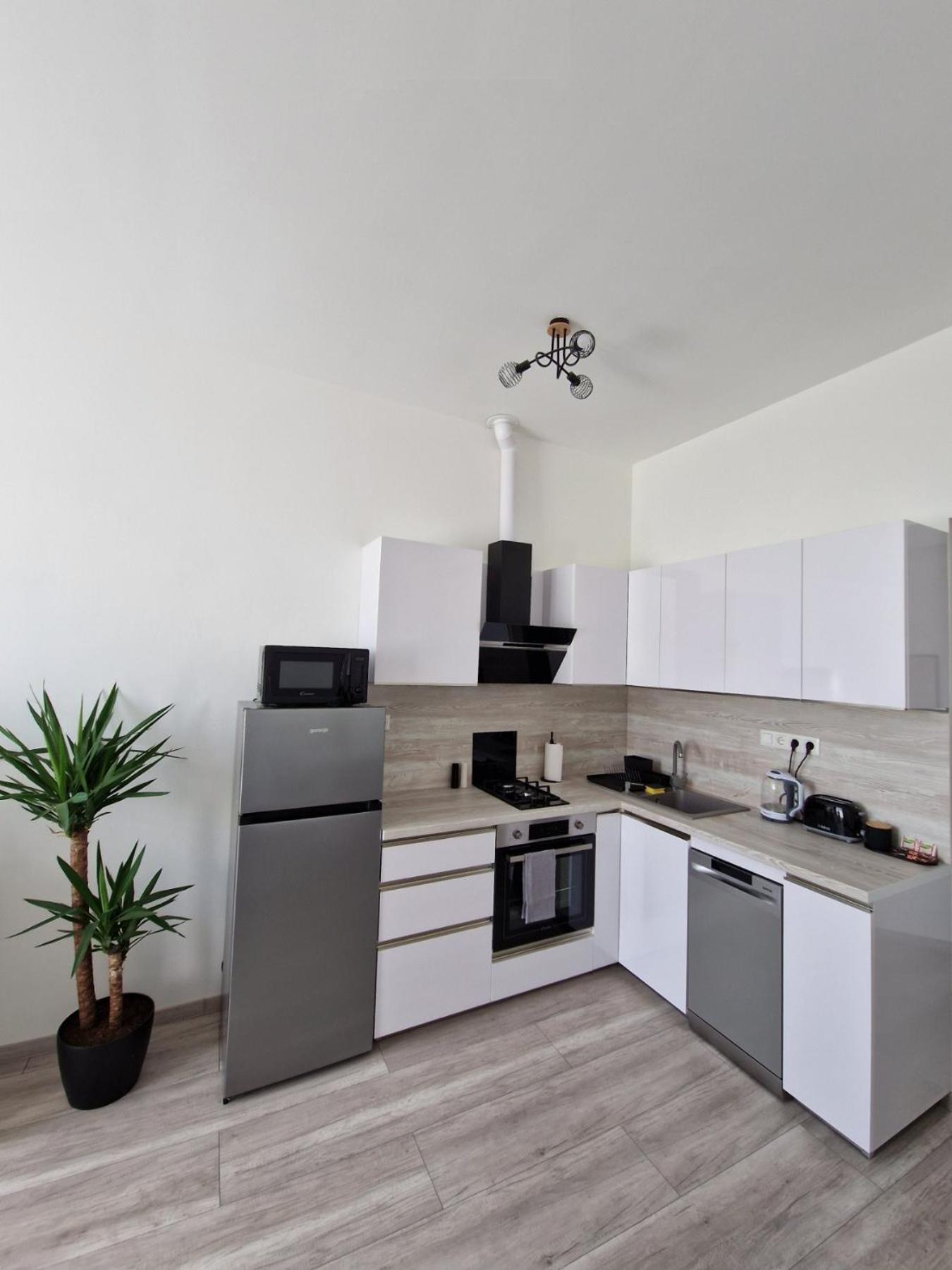 Milla'S Dream Home Segedin Dış mekan fotoğraf